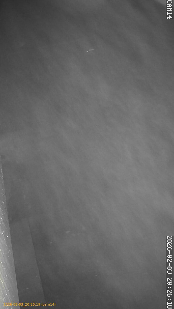 thumbnail_20260203202619