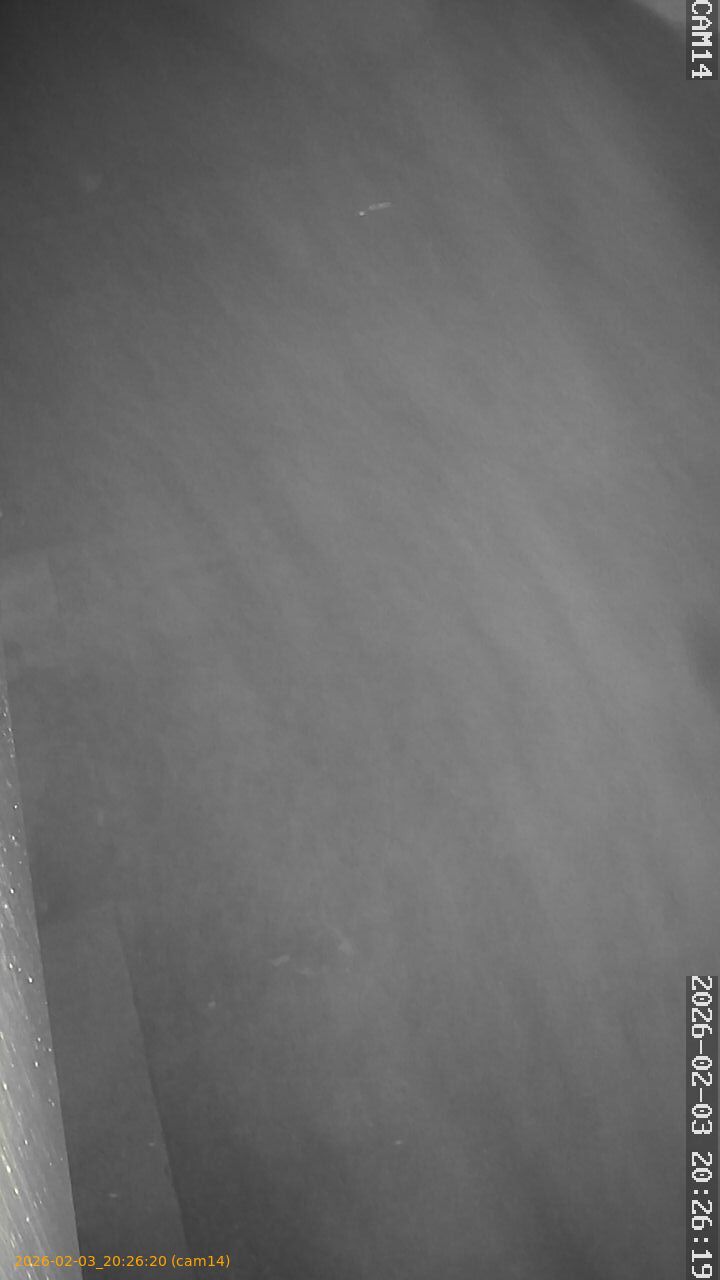 thumbnail_20260203202620