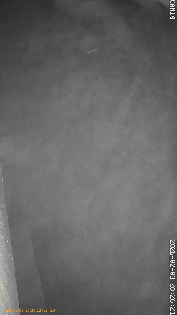 thumbnail_20260203202622