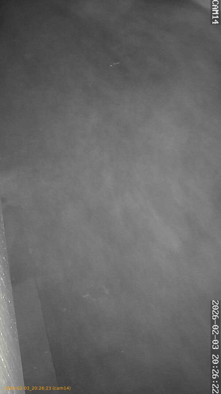 thumbnail_20260203202623