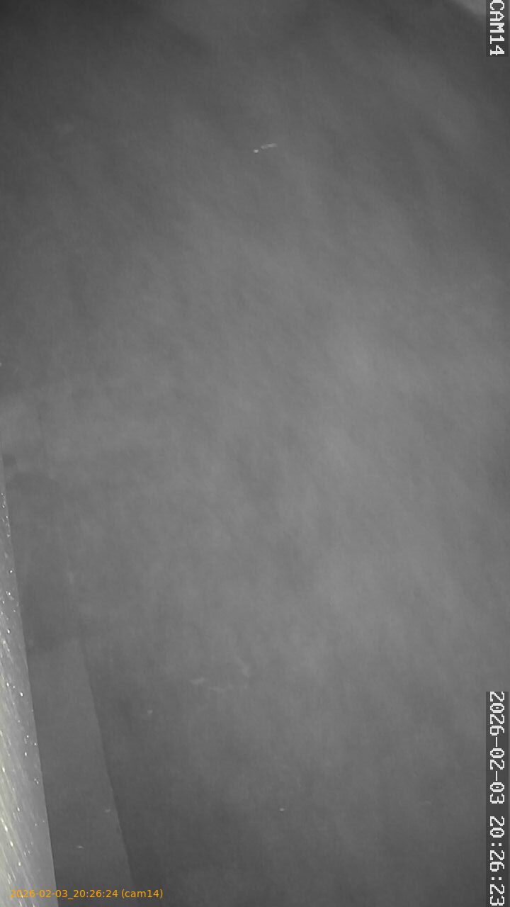 thumbnail_20260203202624