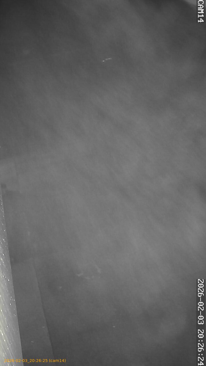 thumbnail_20260203202625