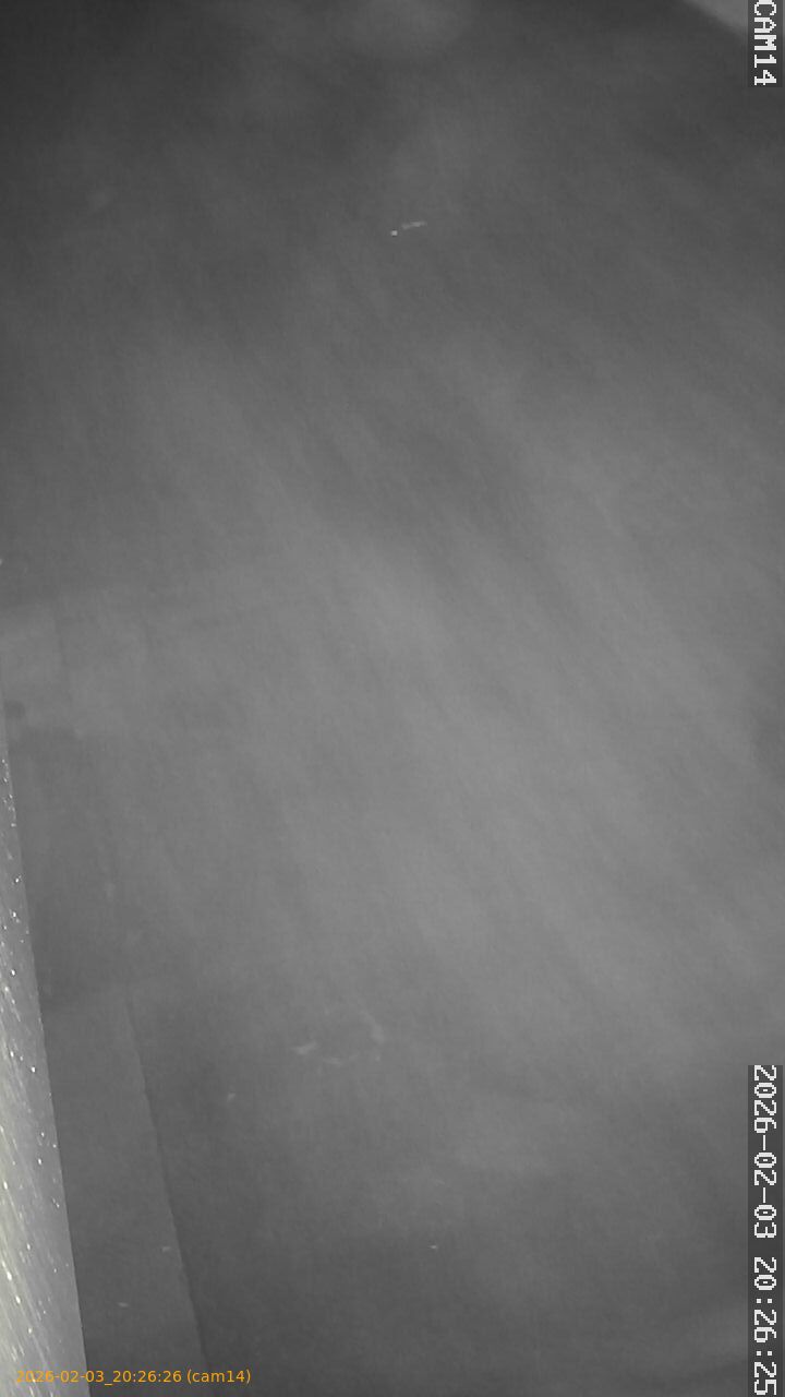 thumbnail_20260203202626