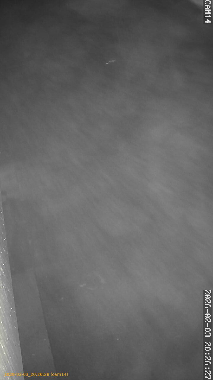 thumbnail_20260203202628