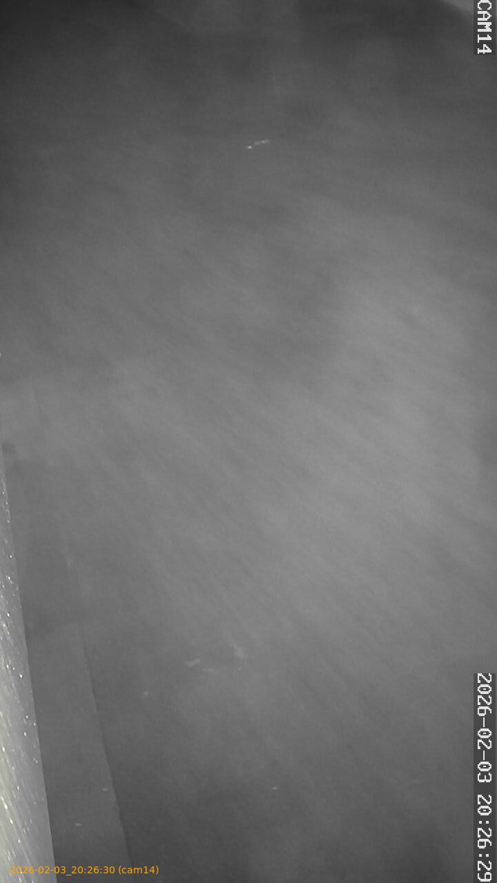 thumbnail_20260203202630