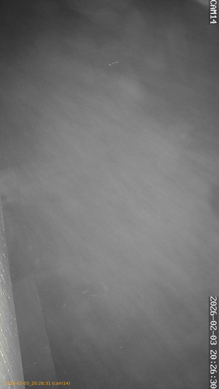 thumbnail_20260203202631