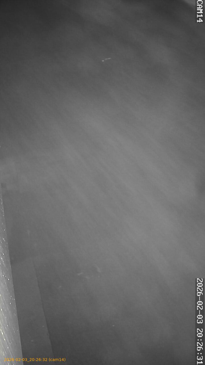 thumbnail_20260203202632