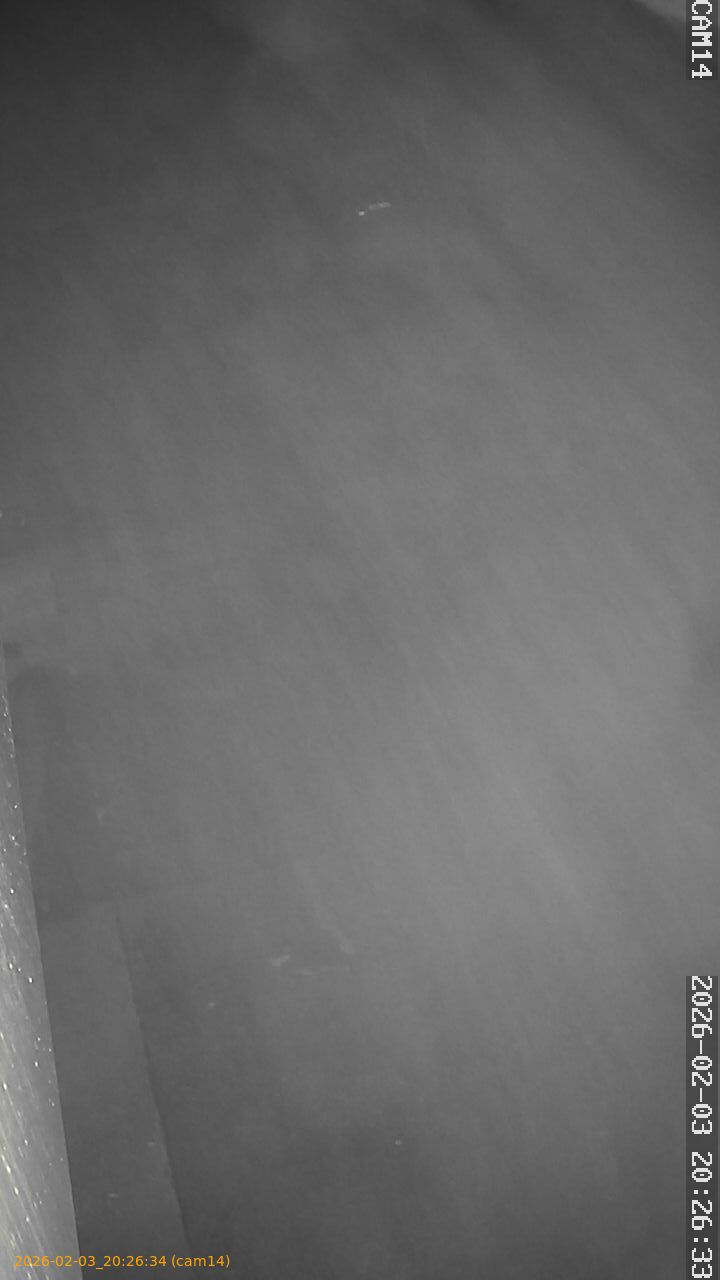 thumbnail_20260203202634