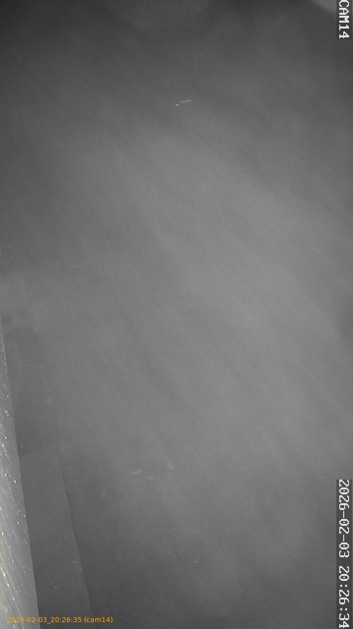 thumbnail_20260203202635