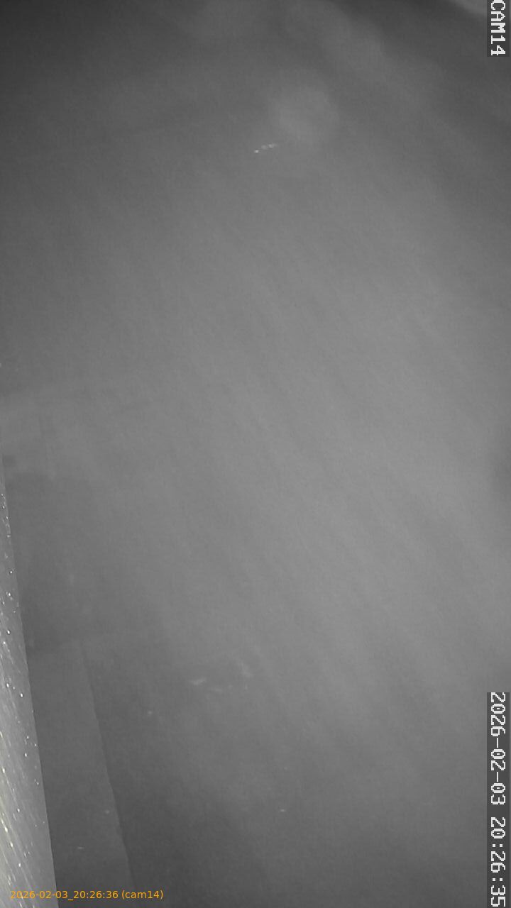 thumbnail_20260203202636