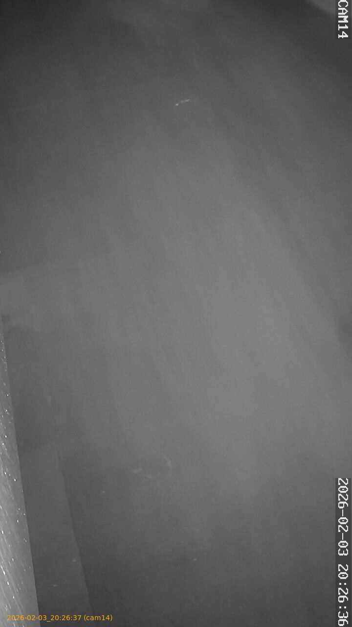 thumbnail_20260203202637