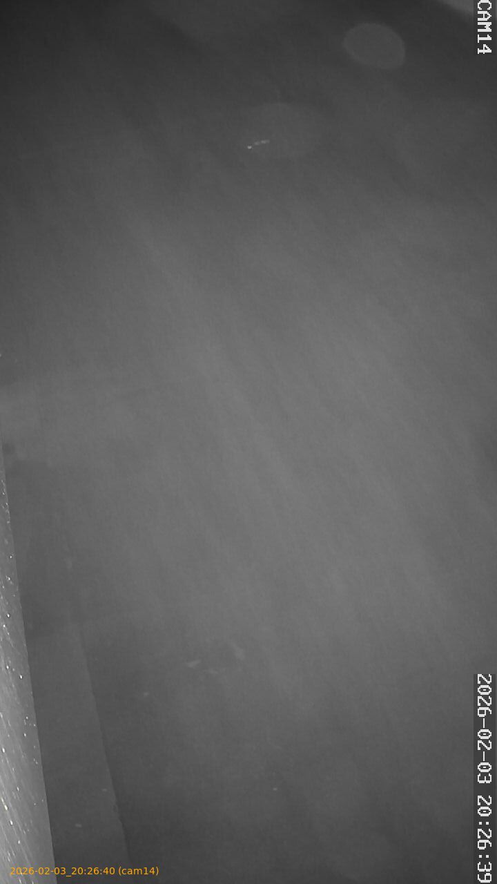 thumbnail_20260203202640