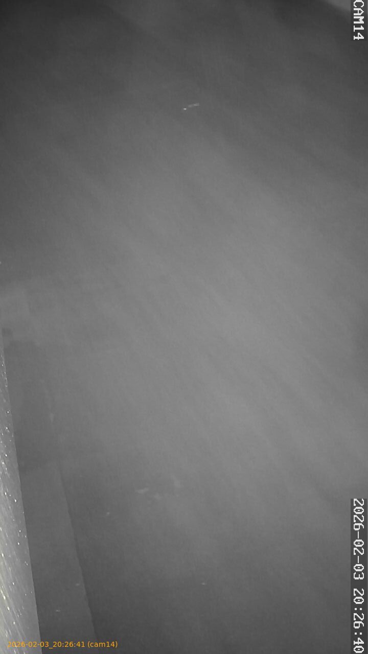 thumbnail_20260203202641