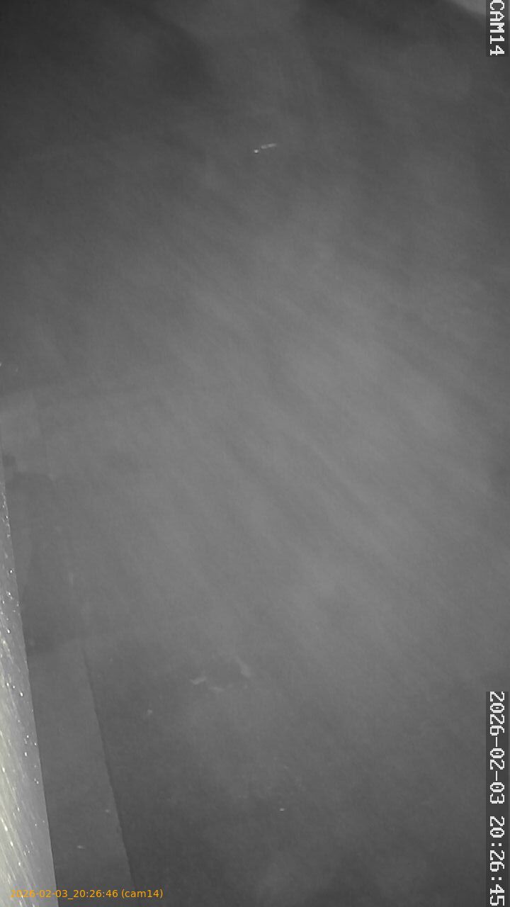 thumbnail_20260203202646