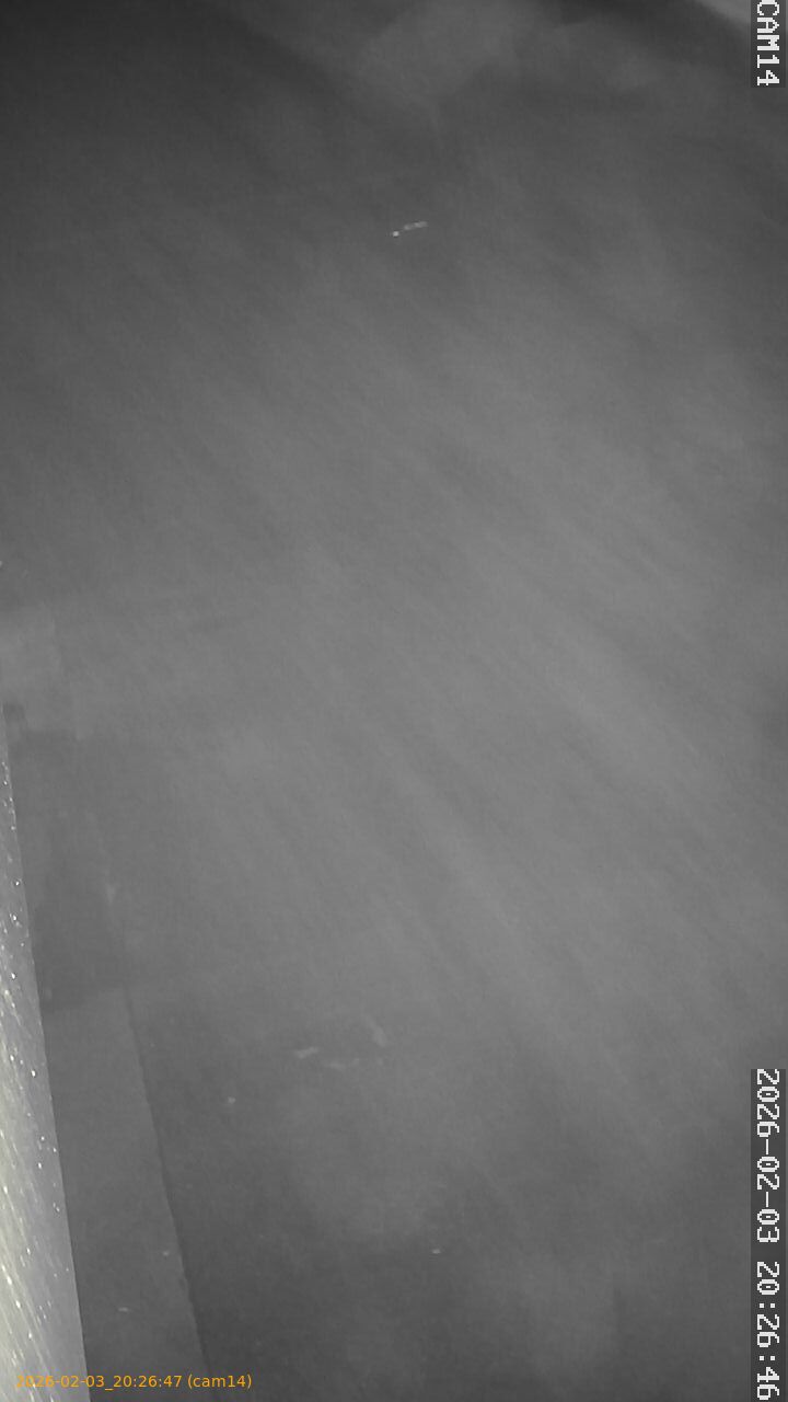 thumbnail_20260203202647