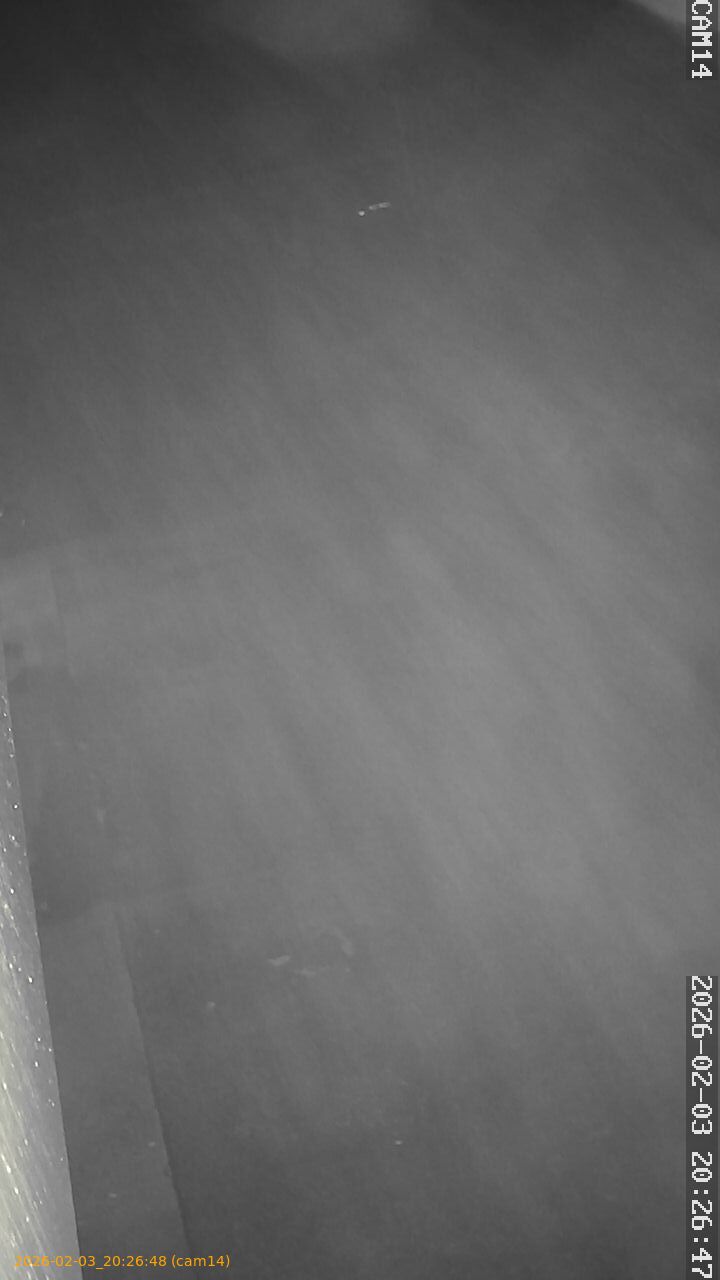 thumbnail_20260203202648