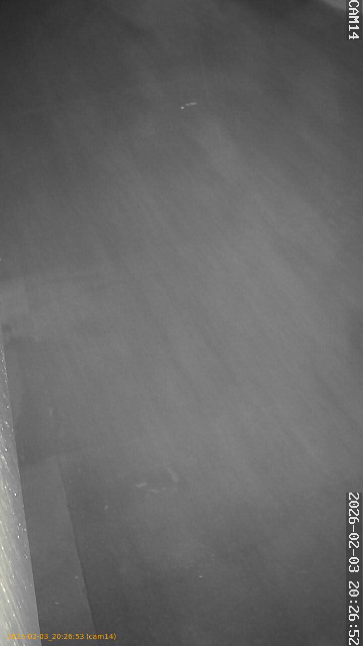 thumbnail_20260203202653