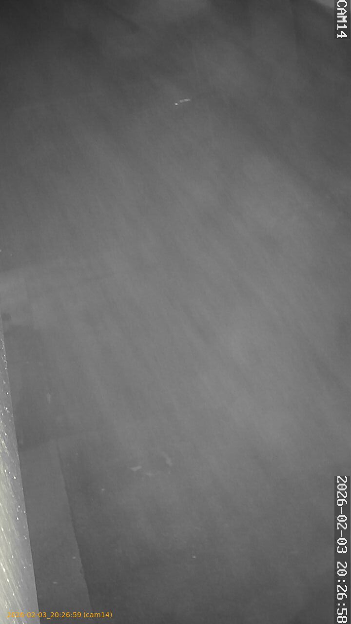 thumbnail_20260203202659