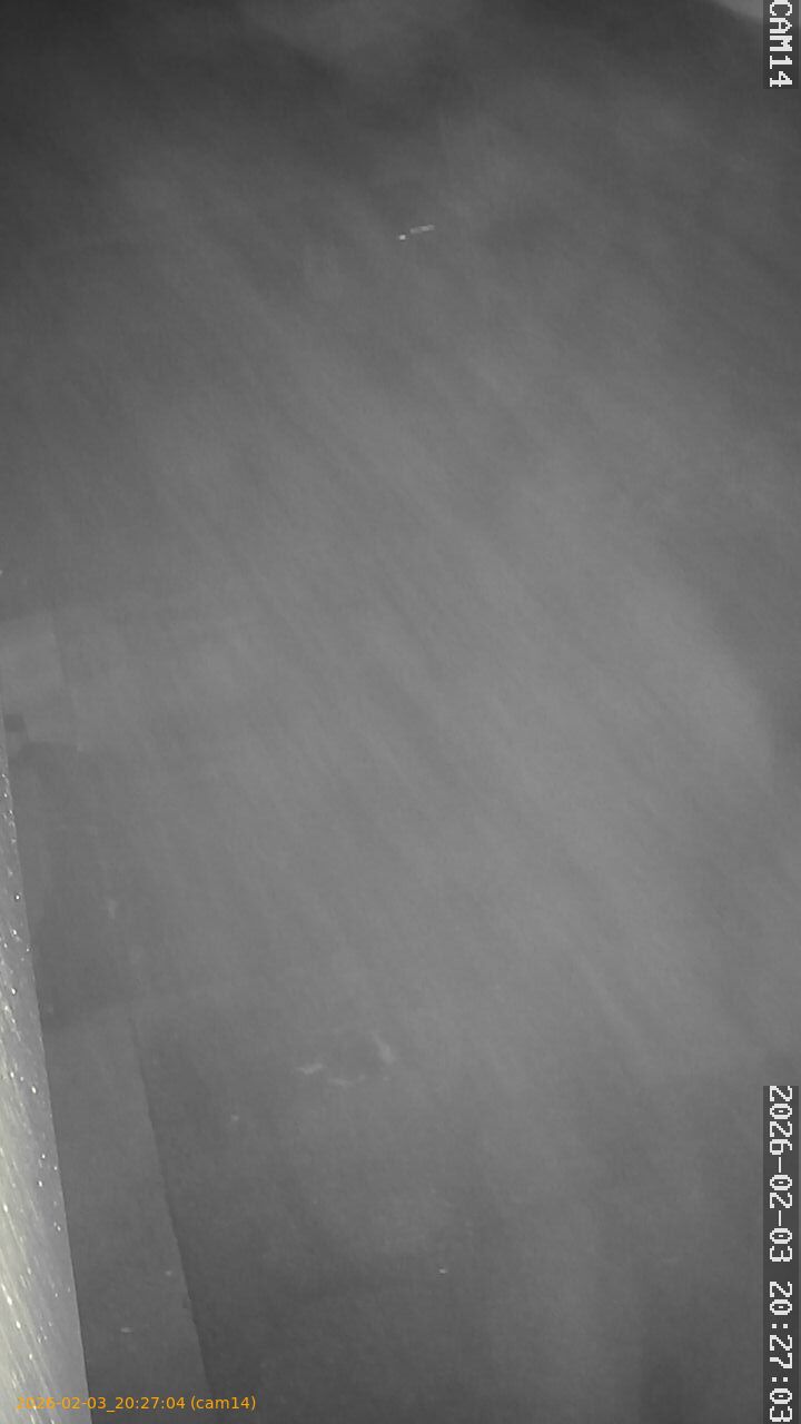 thumbnail_20260203202704