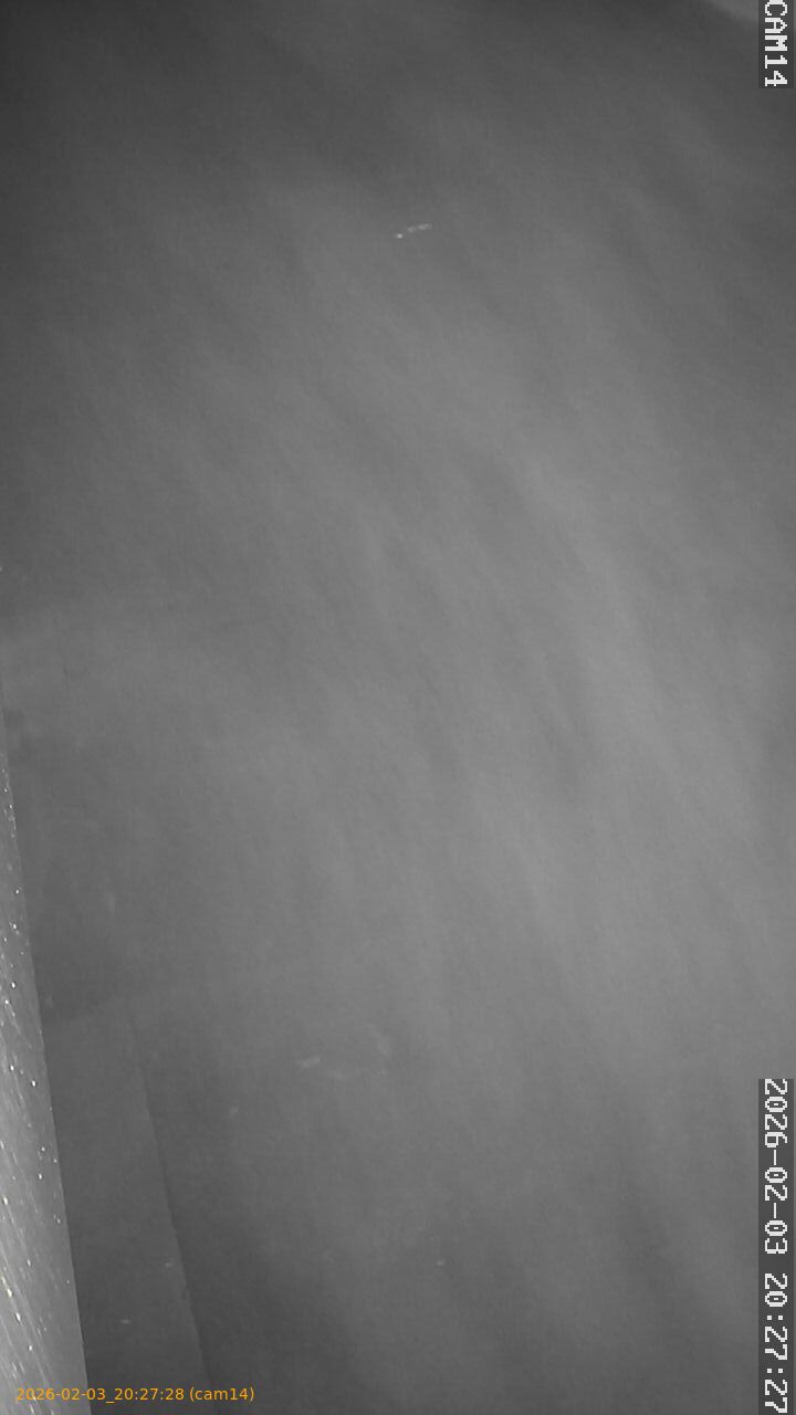 thumbnail_20260203202728