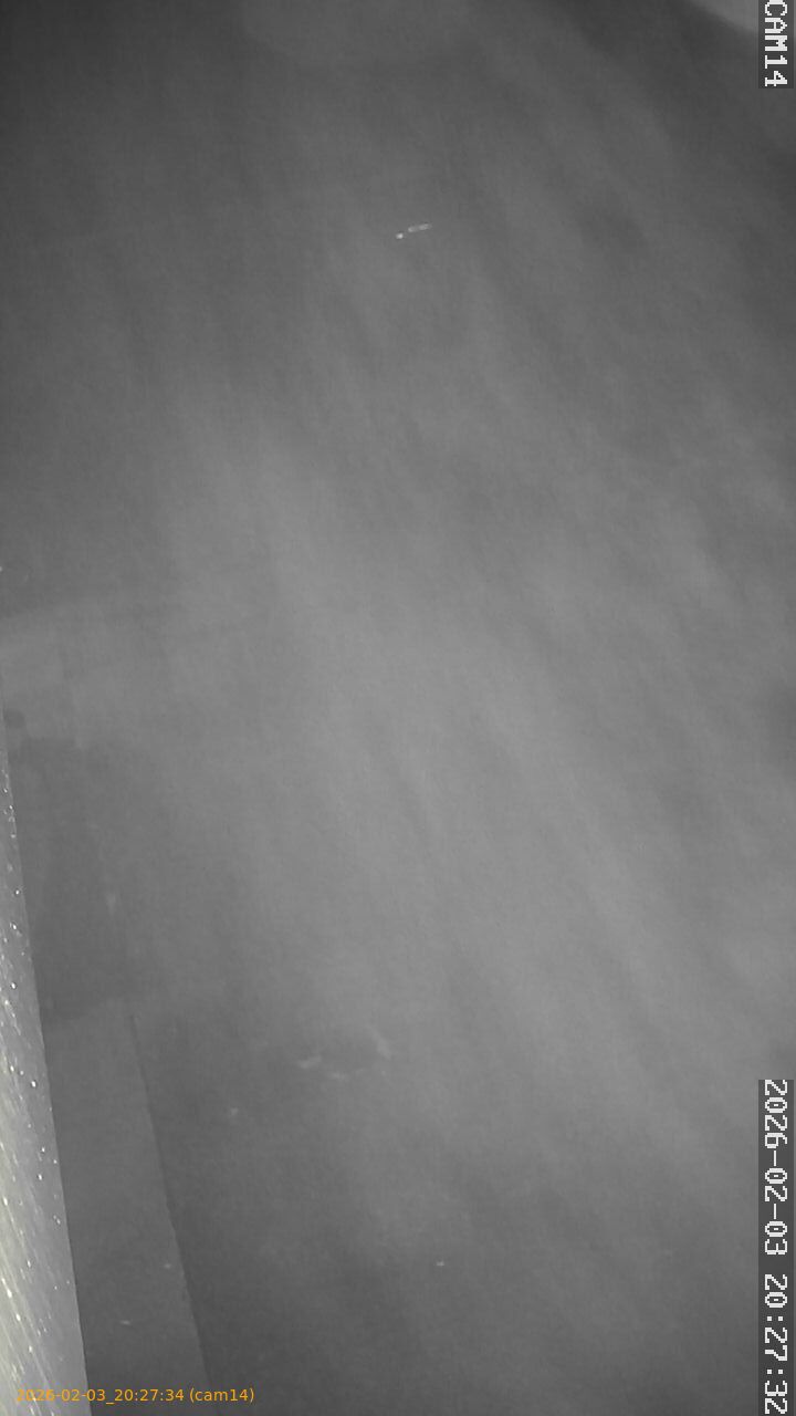 thumbnail_20260203202733