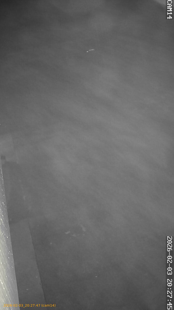 thumbnail_20260203202747