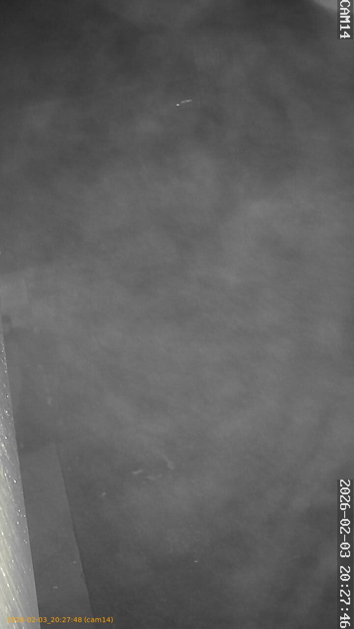 thumbnail_20260203202748