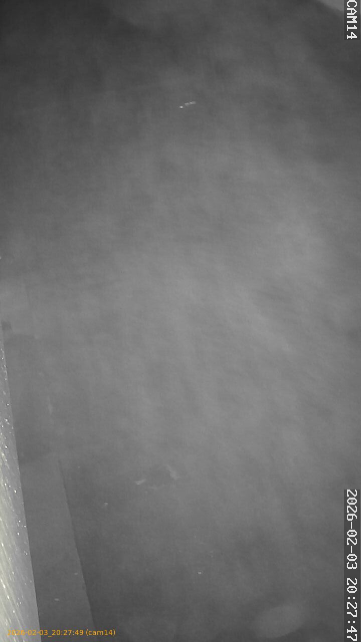 thumbnail_20260203202749