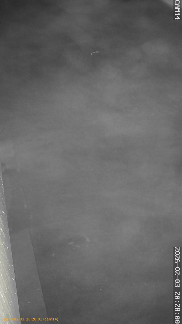 thumbnail_20260203202801