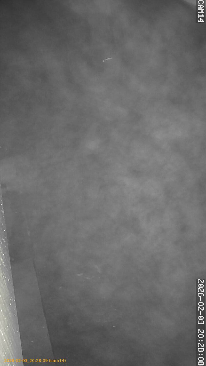 thumbnail_20260203202809