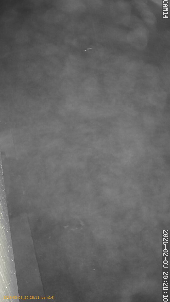 thumbnail_20260203202811