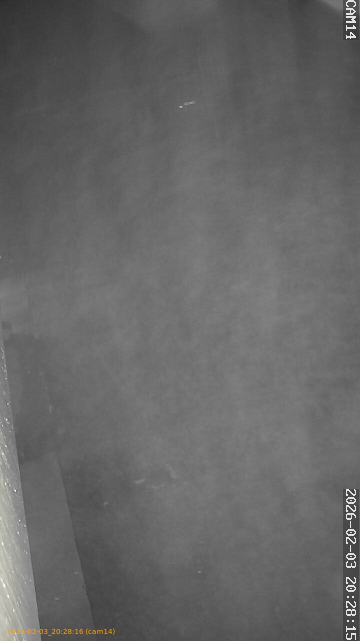 thumbnail_20260203202816