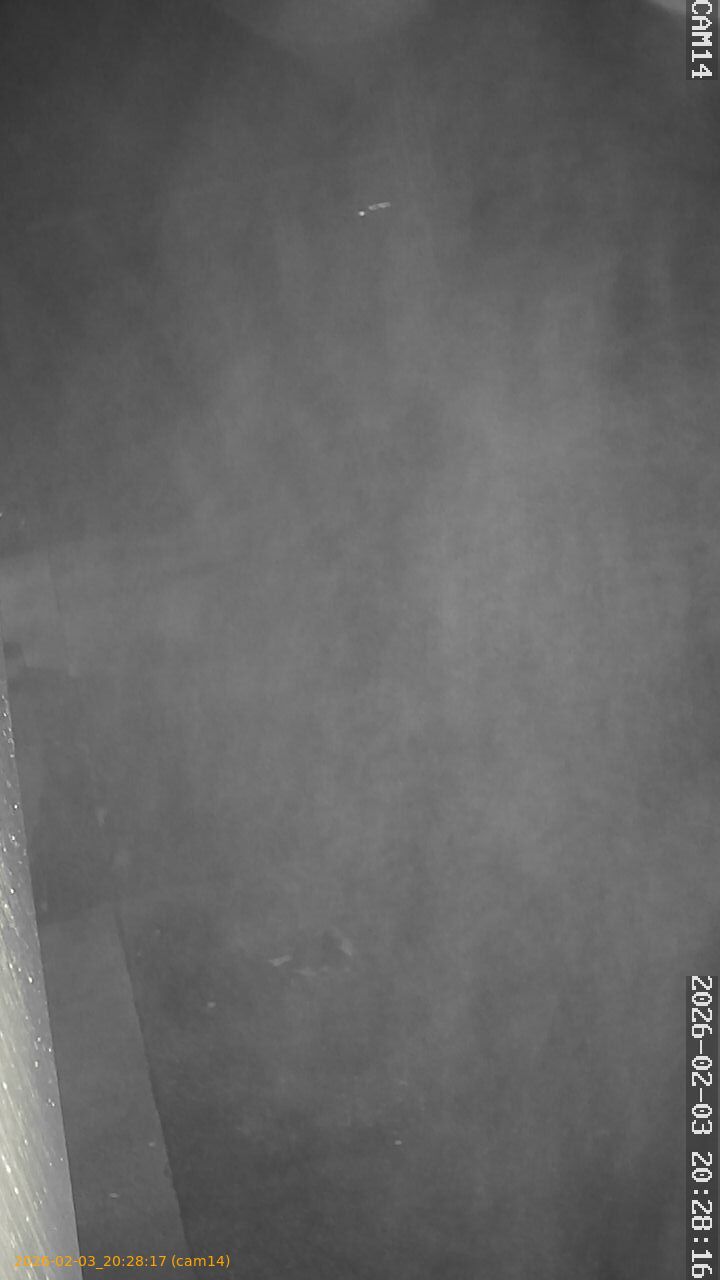 thumbnail_20260203202817