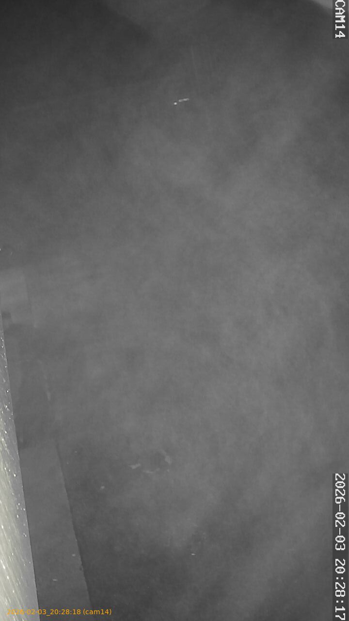 thumbnail_20260203202818