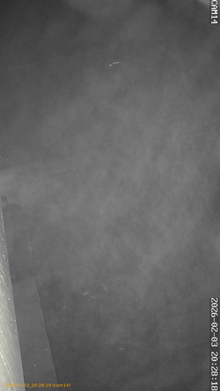 thumbnail_20260203202819