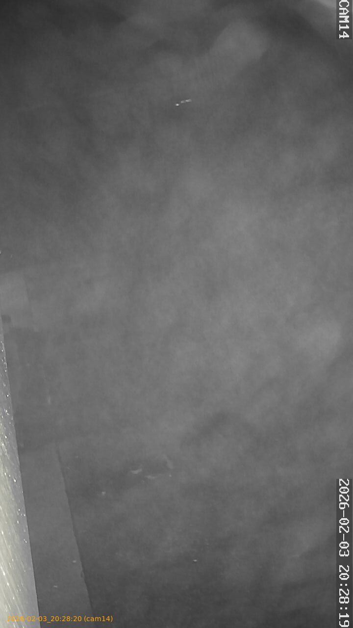 thumbnail_20260203202820