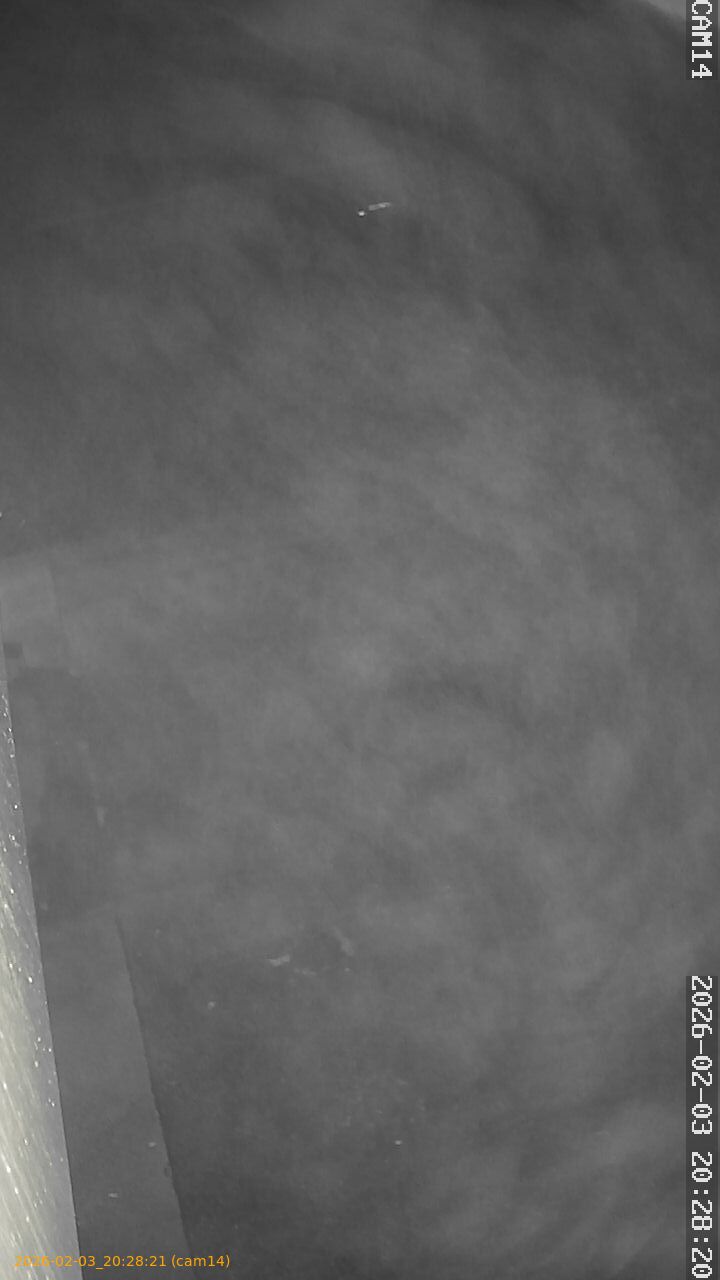 thumbnail_20260203202821