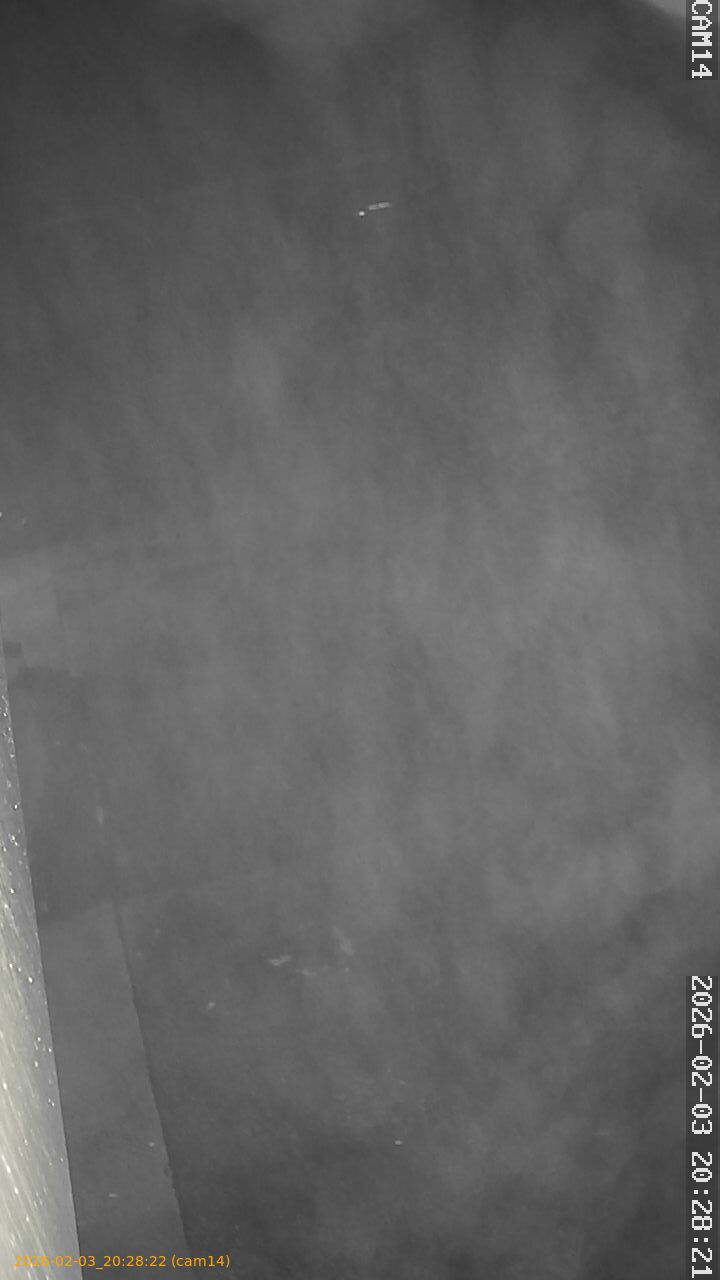 thumbnail_20260203202822