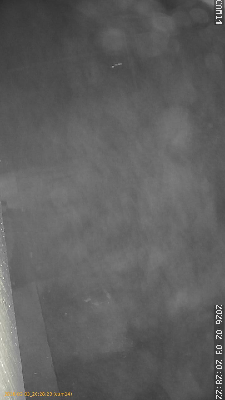 thumbnail_20260203202823