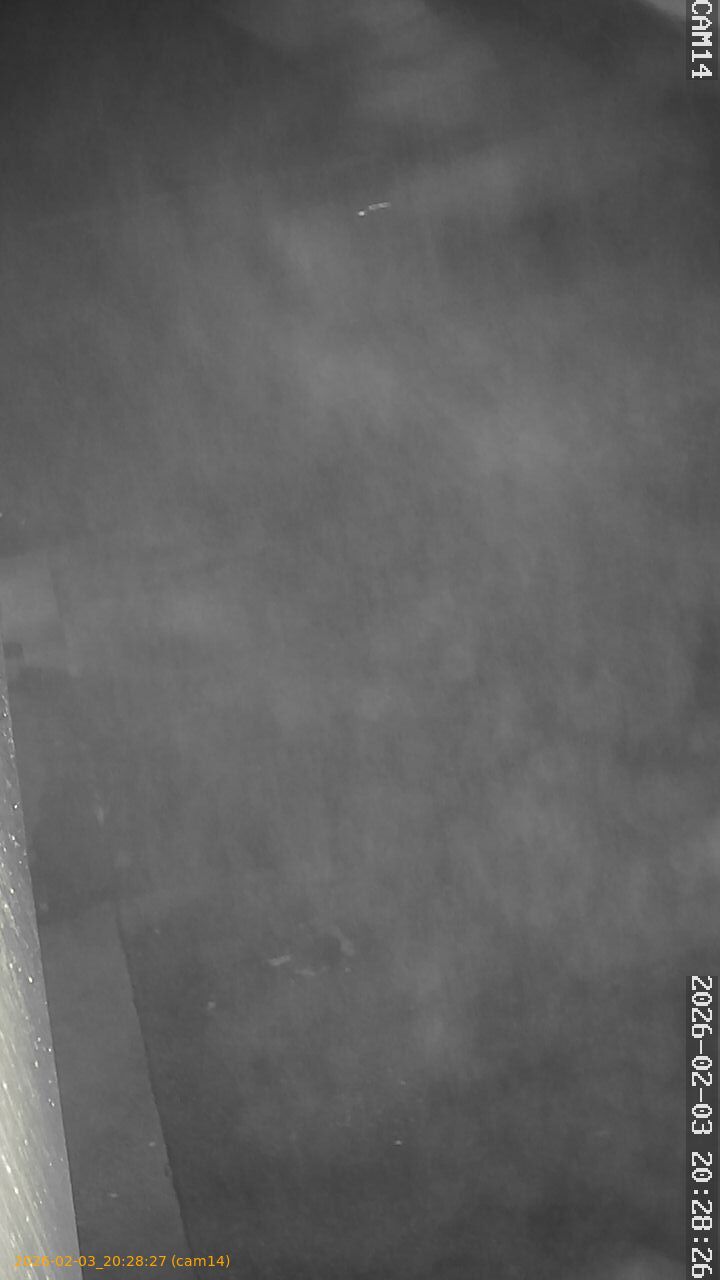 thumbnail_20260203202827