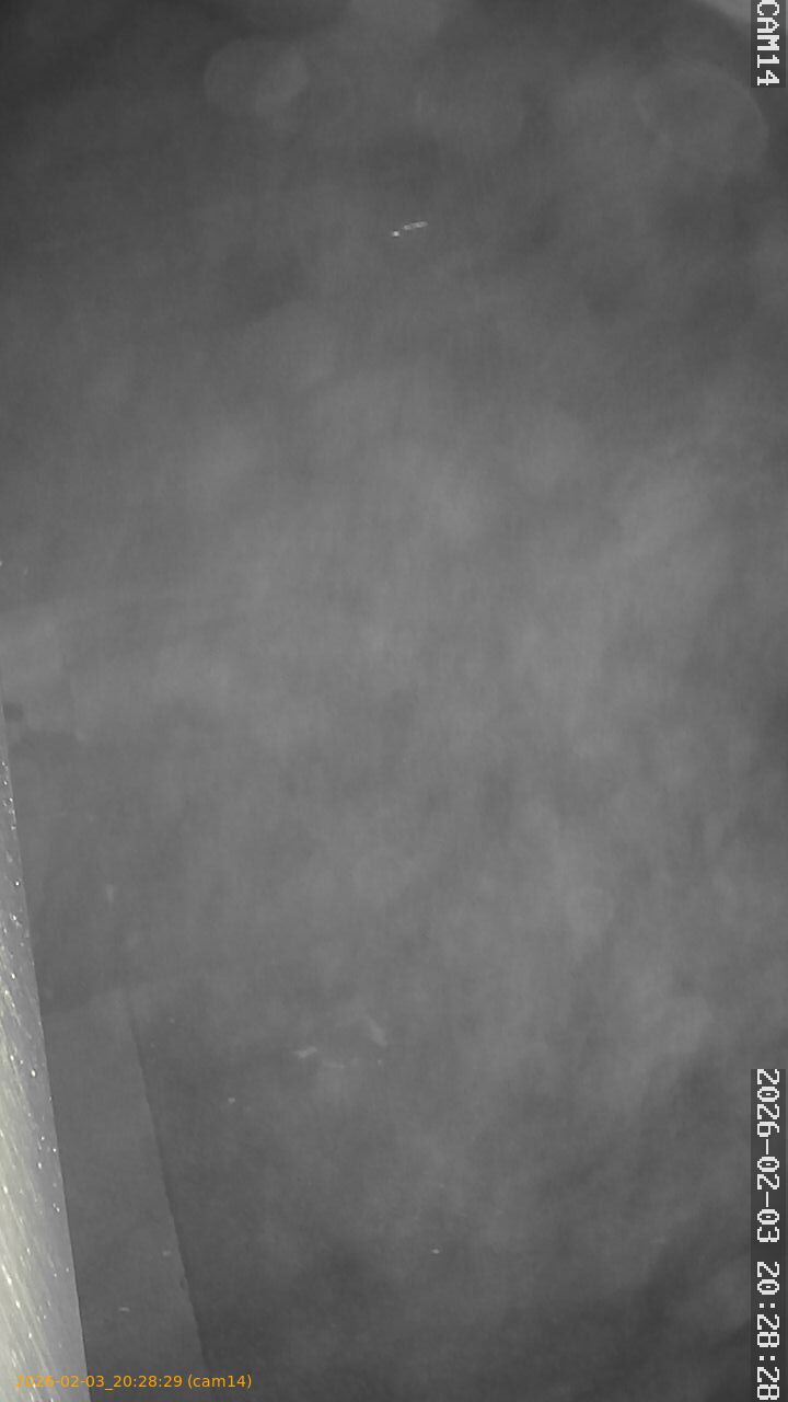 thumbnail_20260203202829