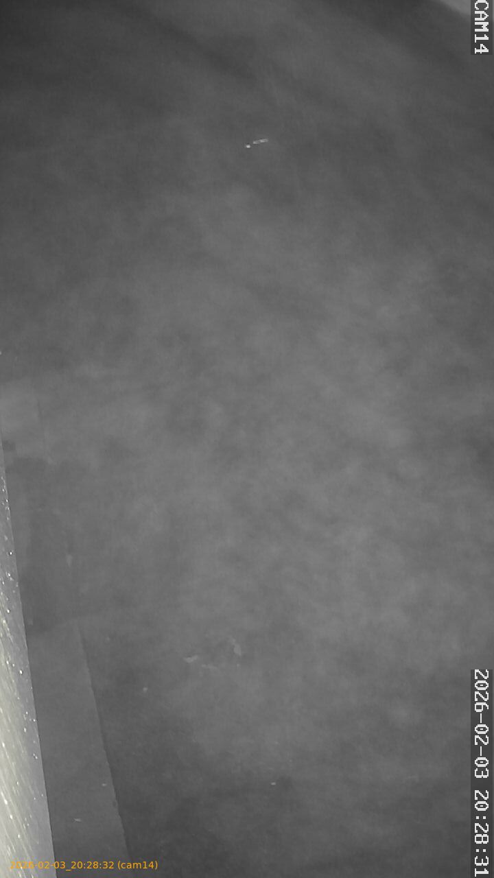 thumbnail_20260203202832