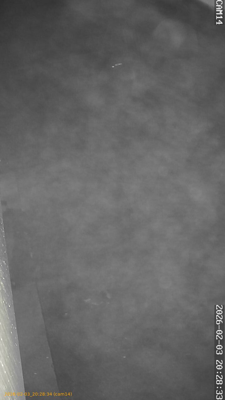 thumbnail_20260203202834