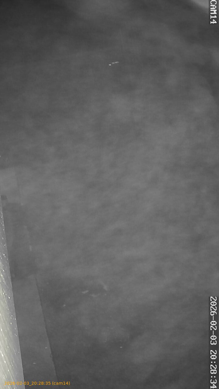 thumbnail_20260203202835