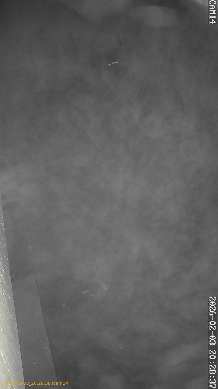 thumbnail_20260203202838