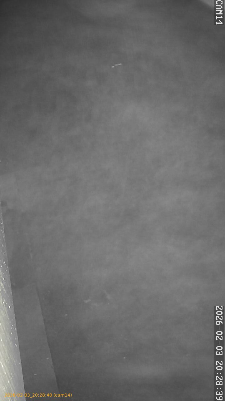 thumbnail_20260203202840