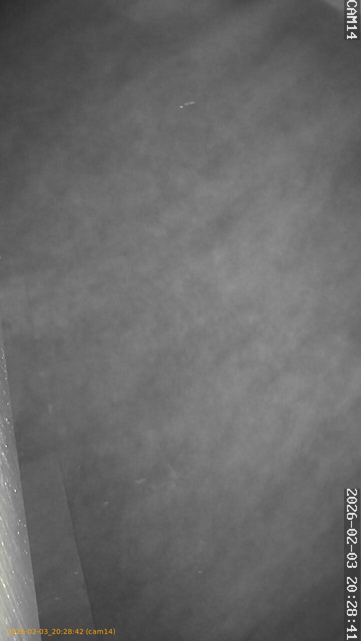 thumbnail_20260203202842