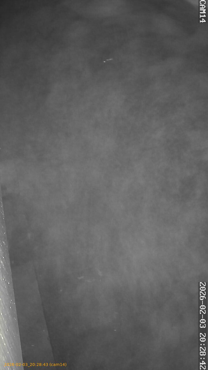 thumbnail_20260203202843