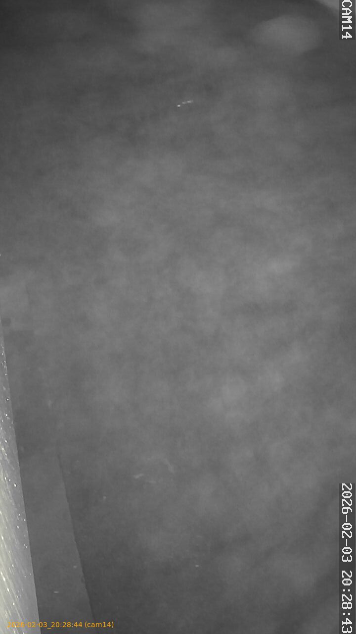 thumbnail_20260203202844