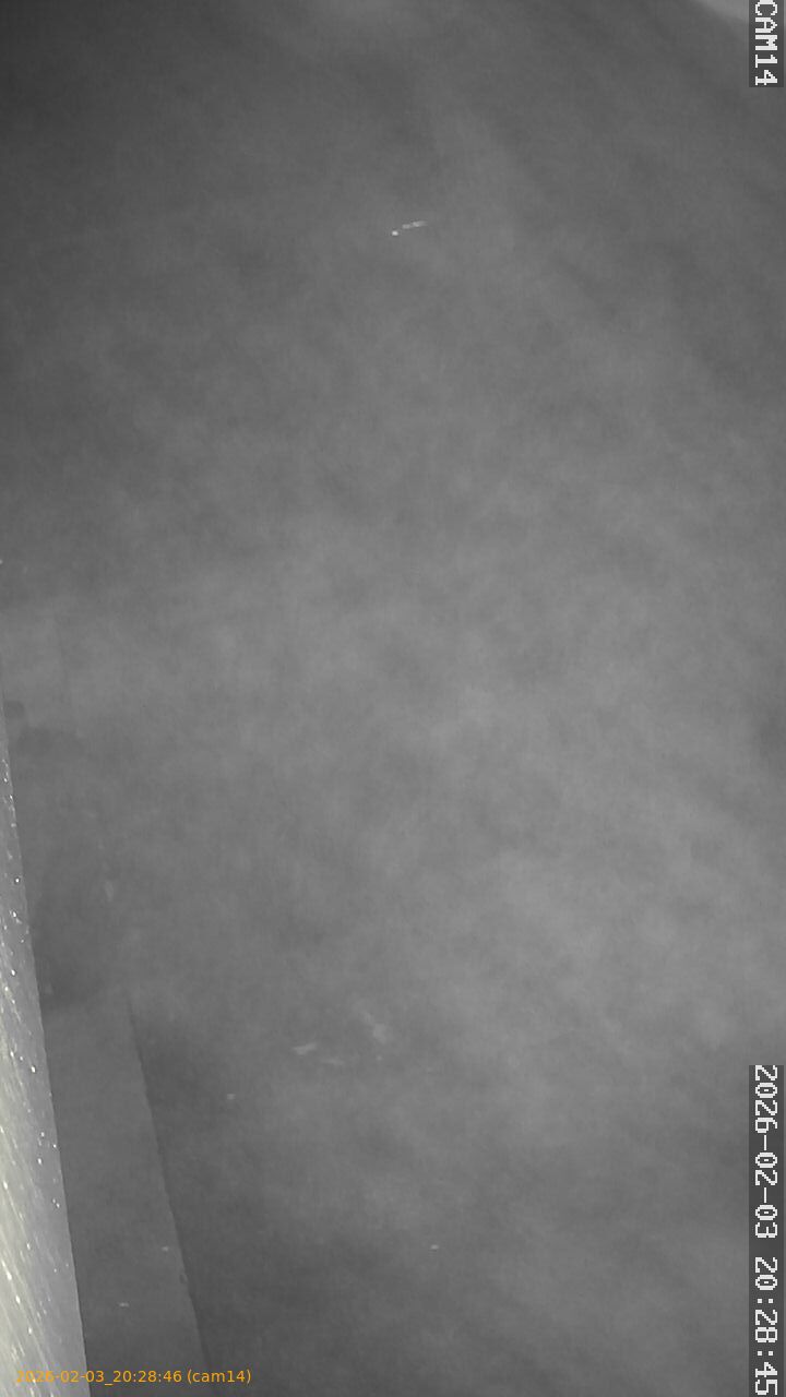 thumbnail_20260203202846